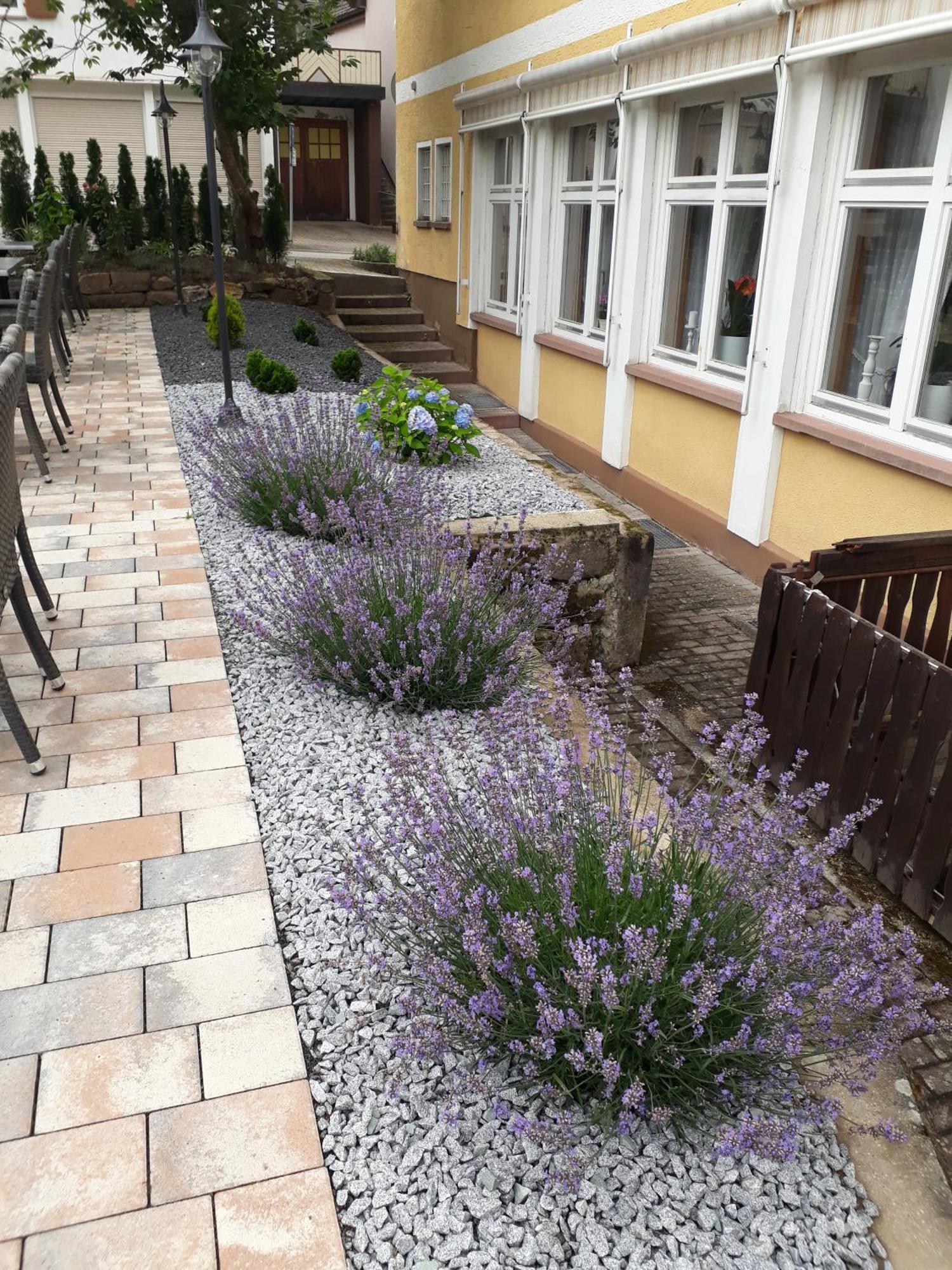 Hotel Eleon Bad Teinach-Zavelstein Bagian luar foto